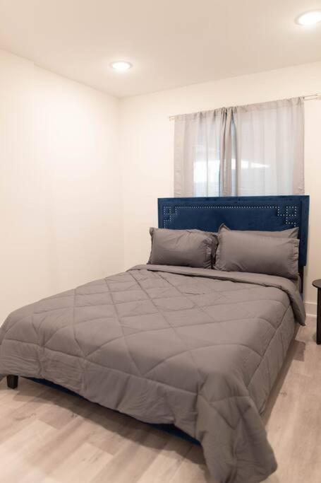 Platinum Palace 1Br 1Ba - Central Dallas Stay Экстерьер фото